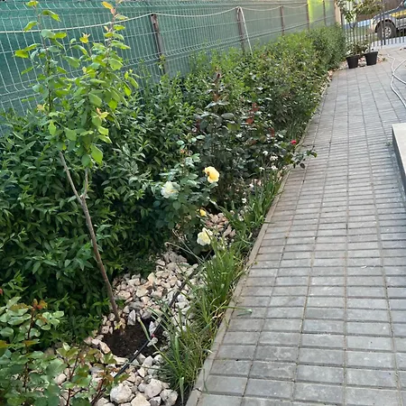 منزل للإقامة Siena *